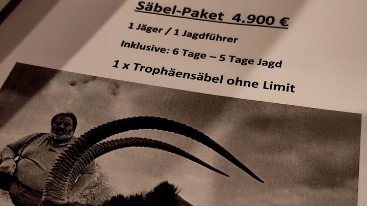 Bild eines Blattes auf dem in schwarz weiß das Angebot einer Trophäenjagd ausgedruckt ist. Unten it ein Bild von einer toten Großantilope mit riesigen Hörnern, daneben kniet ein Mann. Darüber steht: Säbel-Paket 4.900€ Inklusive 6 Tage - 5 Tage Jagd. 1 Trophäensäbel ohne Limit