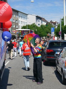 DIE LINKE. queer beim CSD 2008 in Kiel