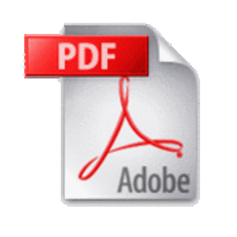 Kommunalwahlprogramm als PDF-Datei (450 KB)