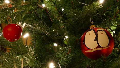 Tannenzweige mit einer Weihnachtsbaumkugel auf der Pinguine sind